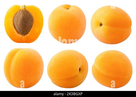 apricot isolated on white background, clipping path, full depth of field Stock Photo