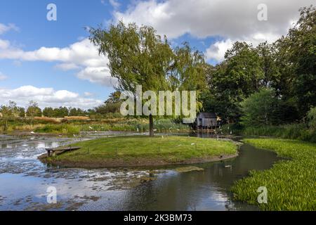 The duck pond, Jupiter Artland, Wilkieston, Edinburgh, West Lothian, Scotland. Stock Photo