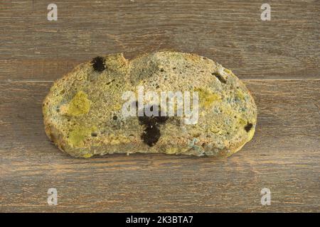 a slice of moldy bread, horizontal position on wooden floor Stock Photo