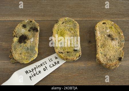 three slices of bread are moldy, one slice of bread is on the spatula, it says 'happiness is a piece of cake' on the spatula Stock Photo