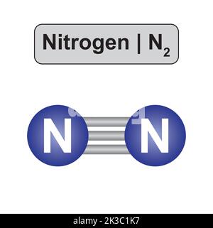 Molecular Model of Nitrogen (N2) Molecule. Vector Illustration. Stock Vector