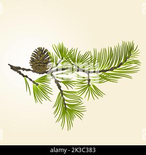Branch Pine and pine cone natural background vector illustration Stock Vector