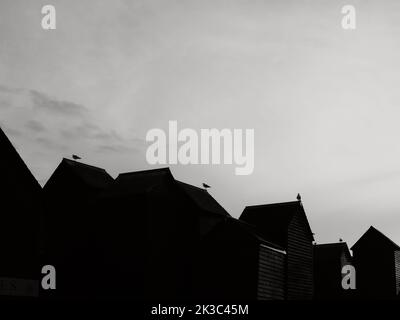 Hastings Fishing Net Shops - tall black wooden huts / sheds / shacks and perched seagulls silhouetted at sunset, Hastings Old Town Sussex England UK. Stock Photo