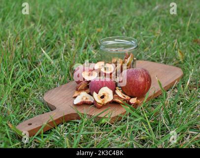 Dried apples and fresh apples placed on a wooden board in the grass. Stock Photo