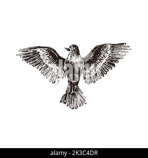 Flying proud bird in linocut retro style, vintage silhouette of bird on white Stock Vector