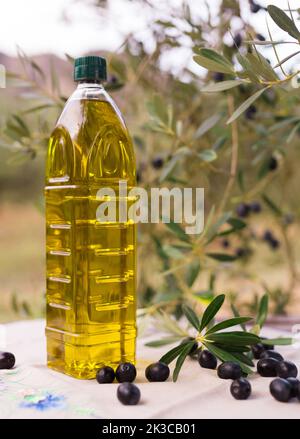 olive oil in plastic bottle and black olives on background of olive branches in garden Stock Photo