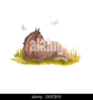 Watercolor illustration of a foal lying in the green grass with pink butterfly Stock Photo