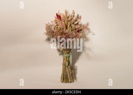 Dry flower isolated on a brown background. Autumn concept with dry flowers. Stock Photo