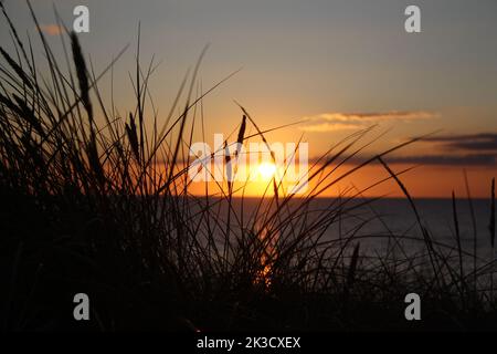 Sunset over the North Sea with dune grass in front on the island of Sylt/Germany Stock Photo