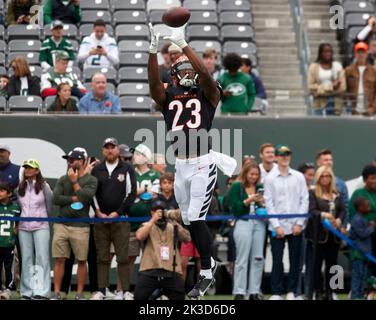 Cincinnati Bengals safety Dax Hill (23) in action as the Arizona