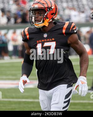 Cincinnati Bengals wide receiver Stanley Morgan (17) during an NFL football  game against the New Orleans Saints, Sunday, Oct. 16, 2022, in New Orleans.  (AP Photo/Tyler Kaufman Stock Photo - Alamy