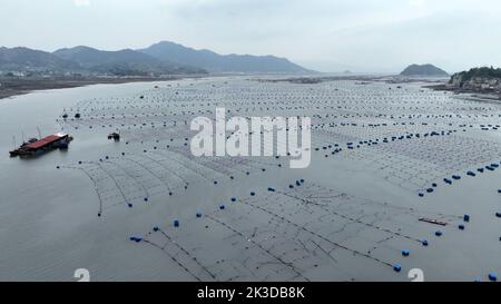 NINGDE, CHINA - SEPTEMBER 23, 2022 - An aerial photo shows an offshore farming mariculture in Ningde City, Fujian Province, China, Sept 23, 2022. Stock Photo