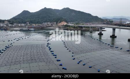 NINGDE, CHINA - SEPTEMBER 23, 2022 - An aerial photo shows an offshore farming mariculture in Ningde City, Fujian Province, China, Sept 23, 2022. Stock Photo