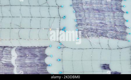 NINGDE, CHINA - SEPTEMBER 23, 2022 - An aerial photo shows an offshore farming mariculture in Ningde City, Fujian Province, China, Sept 23, 2022. Stock Photo