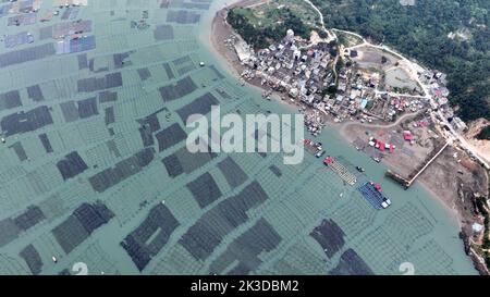 NINGDE, CHINA - SEPTEMBER 23, 2022 - An aerial photo shows an offshore farming mariculture in Ningde City, Fujian Province, China, Sept 23, 2022. Stock Photo