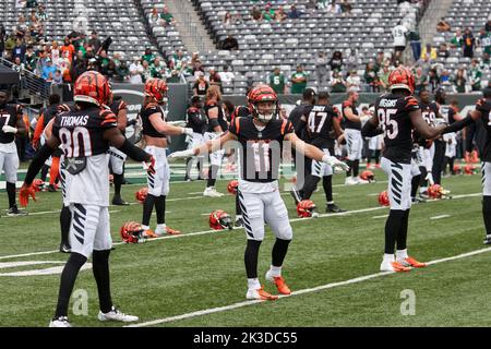 Cincinnati Bengals wide receiver Trent Taylor (11) pictured before