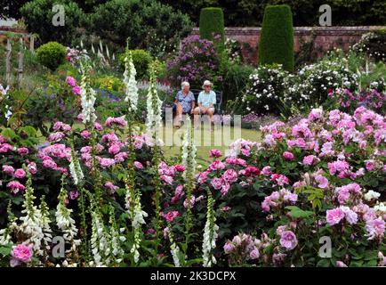 Its been a good year for the roses. A couple relax in the  walled rose garden at the National Trust's Mottisfont Abbey near Romsey, |Hampshireis amidst a  blaze of colour during a bumper season ffor rose growers..  Pic Mike Walker, Mike Walker Pictures,2015 Stock Photo