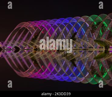 The canopy of the Umbracle gardens illuminated in different colours with added reflection at City of Arts and Sciences in Valencia, Spain in September Stock Photo