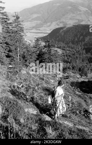 Wandern im Saalfeldener Becken, Salzburger Land, 1960. Hiking the Saalfelden Basin, Salzburg region, 1960. Stock Photo