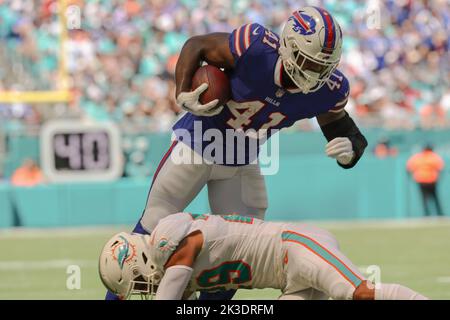 Miami Dolphins safety Brandon Jones (29) eyes the quarterback as he drops  back in coverage during an NFL football game against the Buffalo Bills,  Sunday, Sept. 25, 2022 in Miami Gardens, Fla.