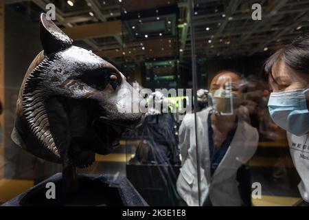 (220926) -- SHANGHAI, Sept. 26, 2022 (Xinhua) -- Visitors view a bronze tiger head at the exhibition 'Return in Golden Age: China's Retrieved Cultural Relics Exhibition' in east China's Shanghai, Sept. 26, 2022. 'Return in Golden Age: China's Retrieved Cultural Relics Exhibition' was launched Monday at the Minhang Museum in east China's Shanghai. The exhibition features China's cultural relics retrieved from overseas and now kept by the Poly Art Museum and the administration office of the Yuanmingyuan. Among the exhibits are bronze Chinese zodiac animal heads that belonged to the Yuanmingyuan Stock Photo