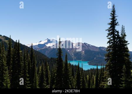 View of Garibaldi Lake and extinct volcanic mountain range through pine trees along Panorama Ridge trail. Stock Photo