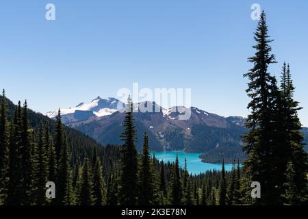 View of Garibaldi Lake and extinct volcanic mountain range through pine trees along Panorama Ridge trail. Stock Photo