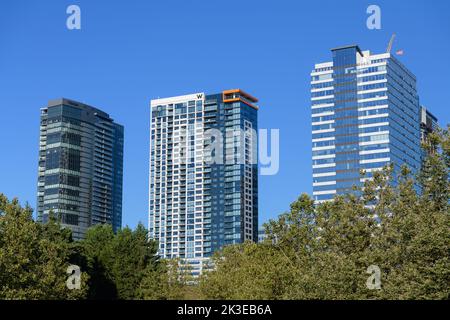 Bellevue, WA, USA - September 07, 2022; Mixed use skyscrapers in Bellevue including W and Westin hotel against blue sky with tree foliage foreground Stock Photo