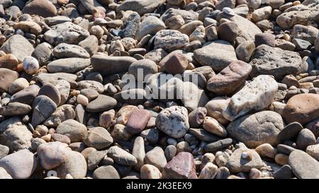 Abstract background with round colored stones at the sea Stock Photo