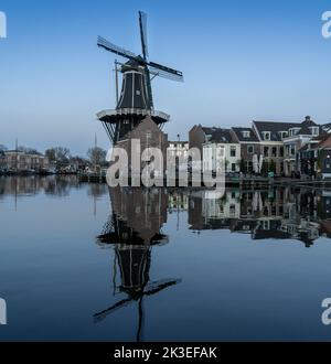 A windmill along the canals in Haarlem, Netherlands in the evening. Stock Photo