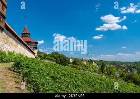 A view of the city wall and to the castle above Esslingen on the Neckar. Baden-Wuerttemberg, Germany, Europe Stock Photo