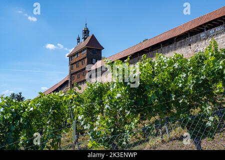 Esslingen near Stuttgart, Germany, view of the historic city walls castle with Guardhouse (Hochwacht) . Baden-Wuerttemberg, Germany, Europe Stock Photo