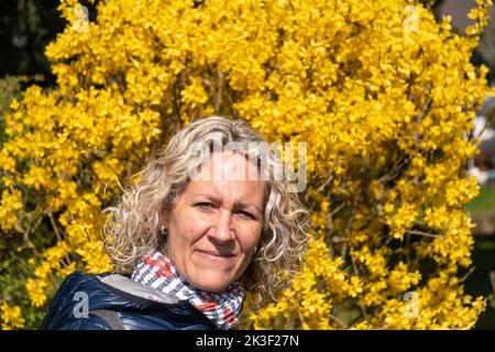Blonde woman in front of yellow privet Stock Photo