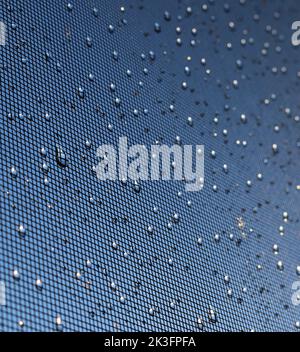Raindrops on mesh screen Stock Photo
