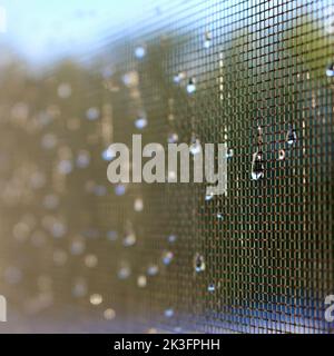 Raindrops on mesh screen Stock Photo