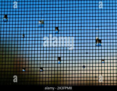 Raindrops on mesh screen Stock Photo
