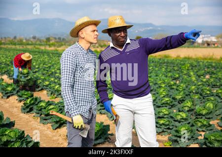 Two male farm workers in straw hats talking on the farm Stock Photo
