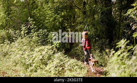 Happy little boy walking his puppy beagle in green park. Dog on leash runs forward and pulls child. Happy time, childhood, lovely pet, new member of Stock Photo