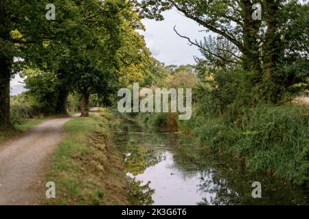 A repaired, reclaimed section of the Wilts. and Berks. Canal near Pewsham in Chippenham, Wiltshire. Repaired by The Wilts and Berks Canal Trust. Stock Photo