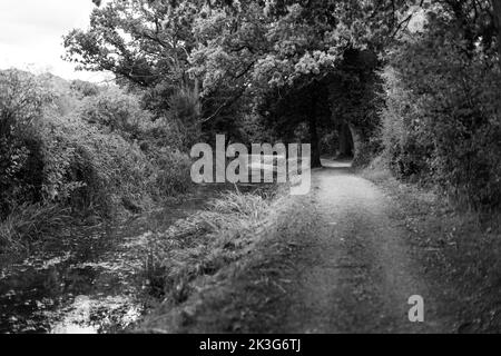 A repaired, reclaimed section of the Wilts. and Berks. Canal near Pewsham in Chippenham, Wiltshire. Repaired by The Wilts and Berks Canal Trust. Stock Photo