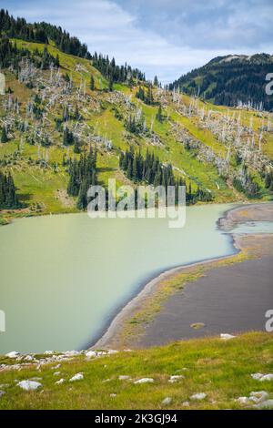 View of Helm Lake from Panorama Ridge with part of Black Tusk and old trees in the background. Stock Photo