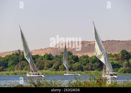 white traditional wooden sailing boat (Feluccas) on the river Nile Stock Photo