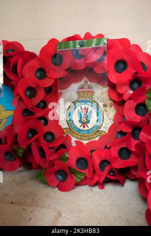 Poppies on Remembrance Day in England Stock Photo - Alamy