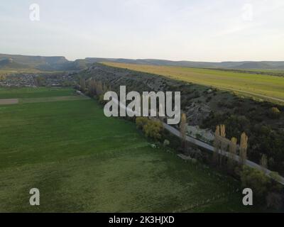 AERIAL: Flying over a small herd of cattle cows walking uniformly down farm road on the hill. Black, brown and spotted cows. Top down view of the Stock Photo