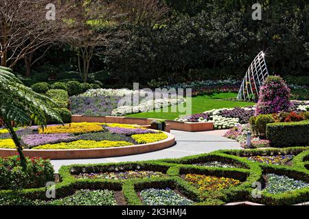 Brisbane Australia /  The beautiful Roma Street Gardens in Spring Hill, Brisbane Queensland. Stock Photo