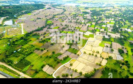 Ta Pa field after the rice harvest in the morning is beautiful. This place is the largest granary providing food in An Giang, Vietnam Stock Photo