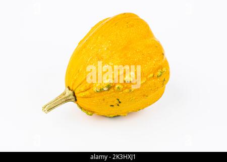 Shapely decorative gourd against a white background Stock Photo