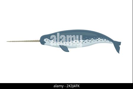 Narwhal with a horn. Vector illustration of a colorful narwhal with a big horn isolated on white. Flat design, side view. Stock Vector
