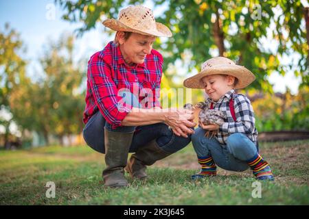 Baby boy farmer, little chicken in his hands and proud woman grandmother outdoor in farmland. Farm animals and happy family in the countryside. Stock Photo