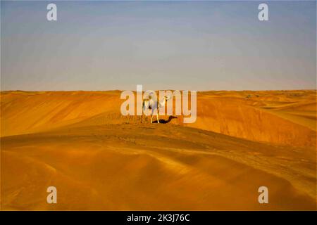 Maleha desert. Maleha is a big dunes in Sharjah, UAE. Fossil rock or pink rock is a hard rock structure right in between sand dunes, an natural wonder Stock Photo